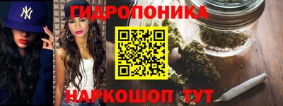 спиды Будённовск