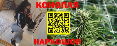 спиды Будённовск