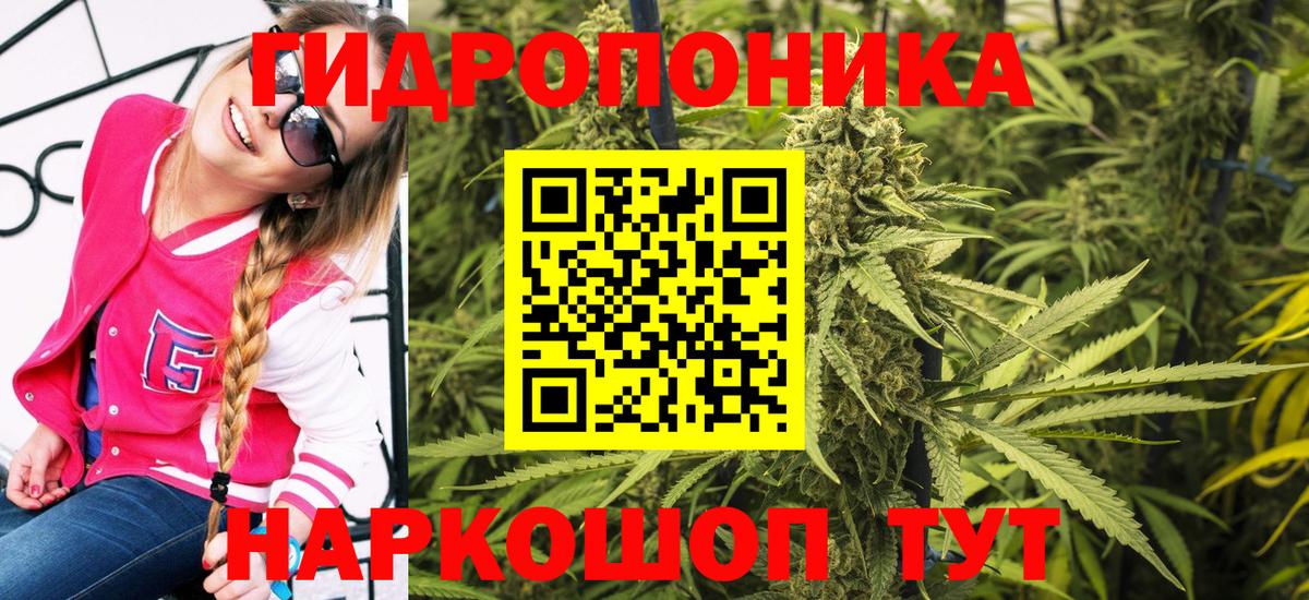 Марихуана планчик Псков